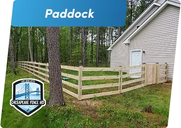 Paddock